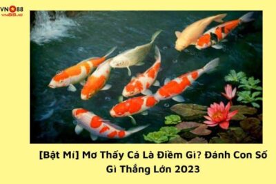 [Bật Mí] Mơ Thấy Cá Là Điềm Gì? Đánh Con Số Gì Thắng Lớn 2023